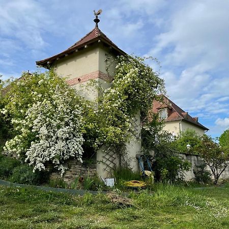 La Maison Du Parc Saint-Raphaël エクステリア 写真