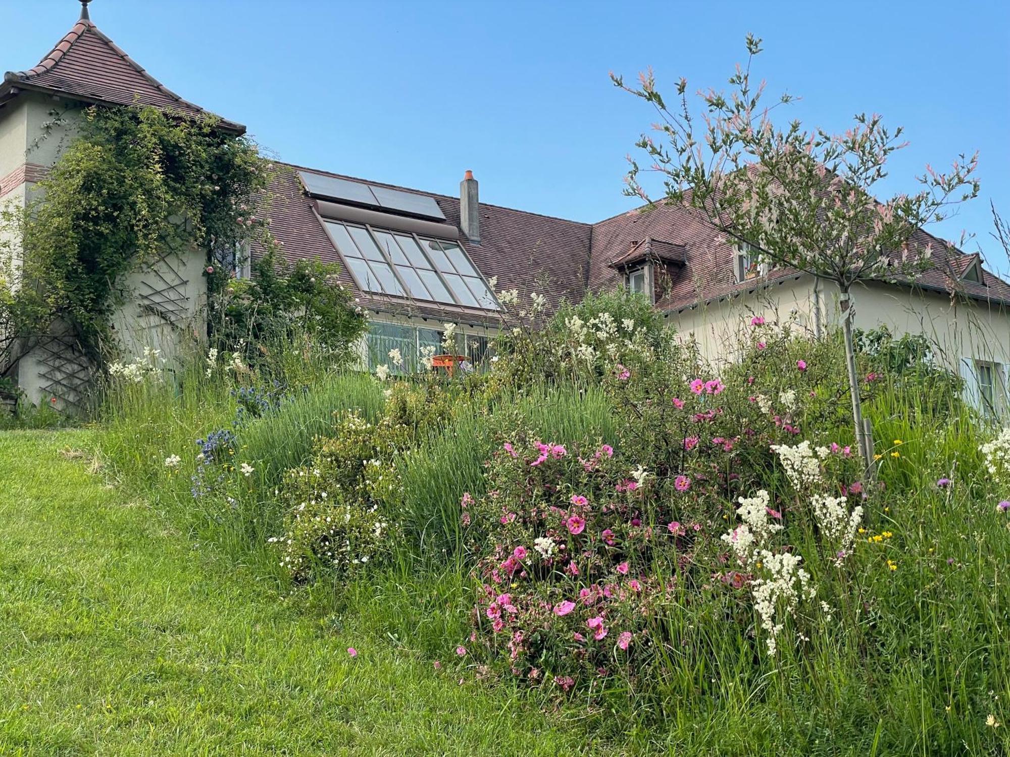 La Maison Du Parc Saint-Raphaël エクステリア 写真